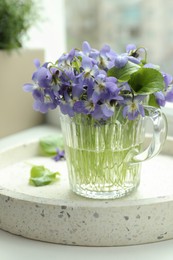 Beautiful wood violets in glass cup on window sill indoors. Spring flowers