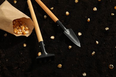 Photo of Paper bag with corn seeds and gardening tools on fertile soil