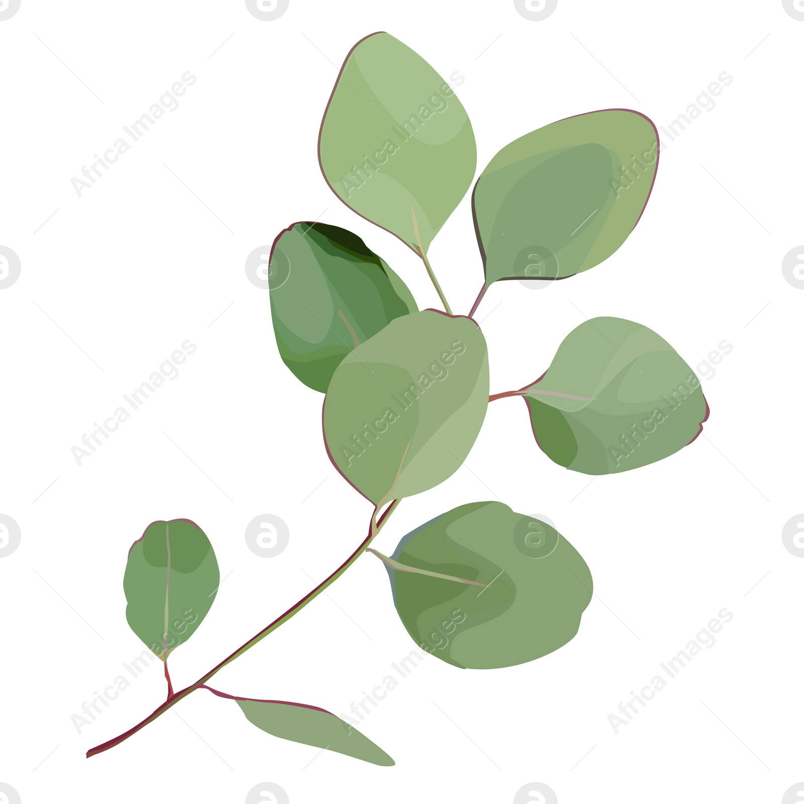 Illustration of Beautiful twig with green leaves illustration on white background. Stylish design