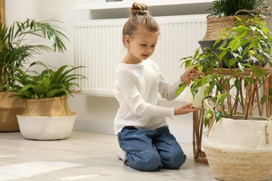 Photo of Cute little girl watering beautiful green plant at home. House decor