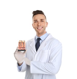 Photo of Male dentist holding teeth model on white background