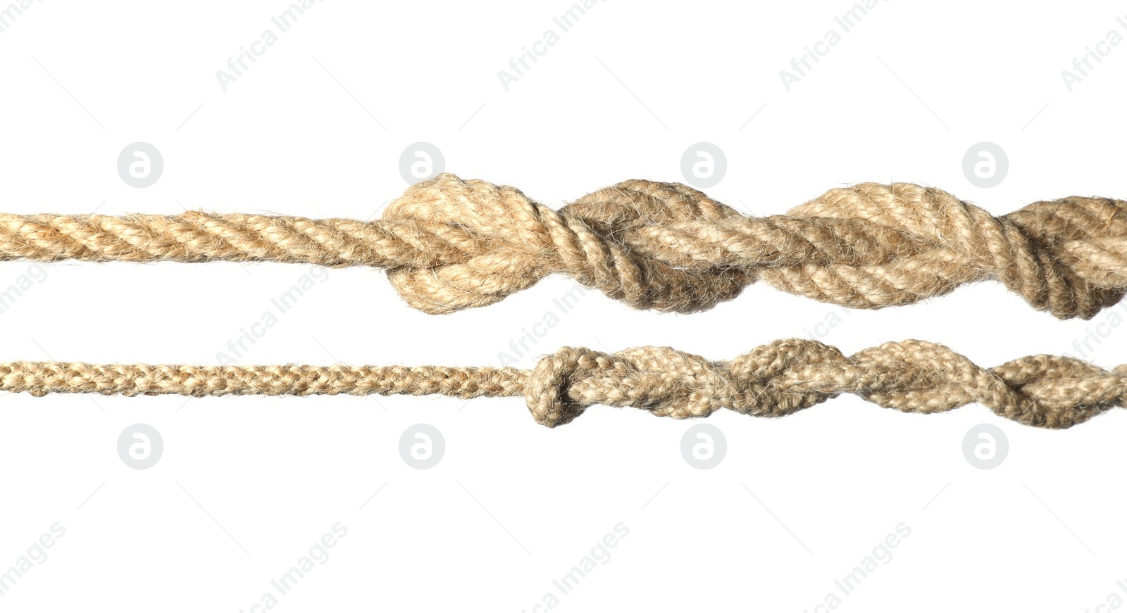 Photo of Two hemp ropes with knots isolated on white