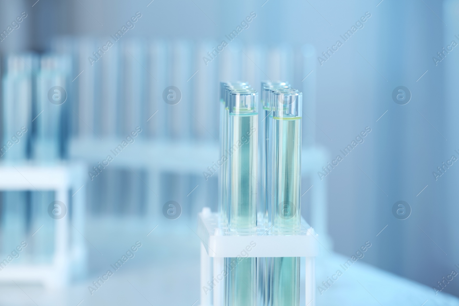 Photo of Holder with test tubes in laboratory. Chemical analysis