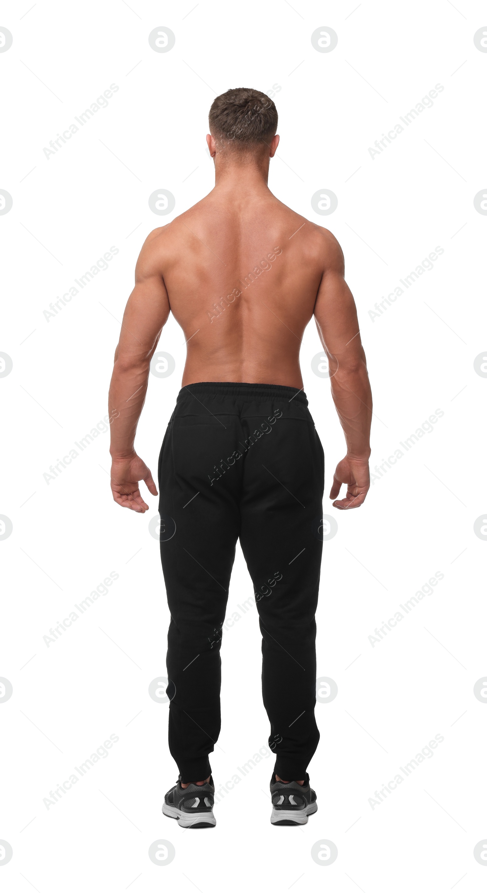 Photo of Young bodybuilder with muscular body on white background, back view