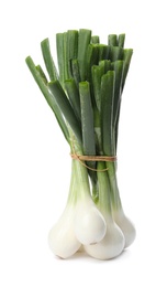 Bunch of fresh ripe green onion isolated on white