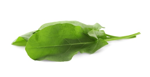 Photo of Fresh green sorrel leaves on white background