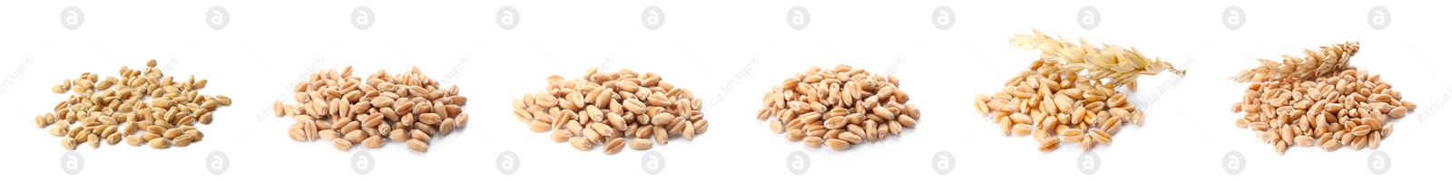 Image of Set with heaps of wheat grains on white background. Banner design