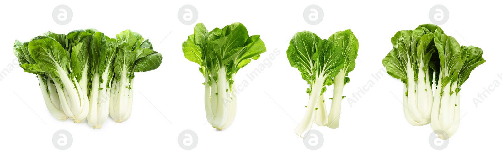 Image of Collage with fresh pak choy cabbages and leaves on white background