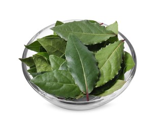 Photo of Bowl with fresh bay leaves on white background