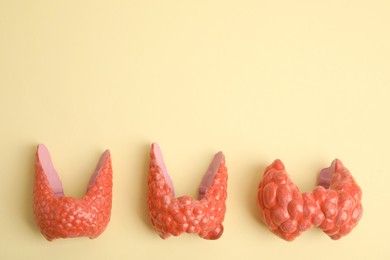 Plastic models of healthy and afflicted thyroids on beige background, flat lay. Space for text