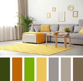 Image of Comfortable sofa with different cushions in living room. Interior design inspired by colors of the year 2021