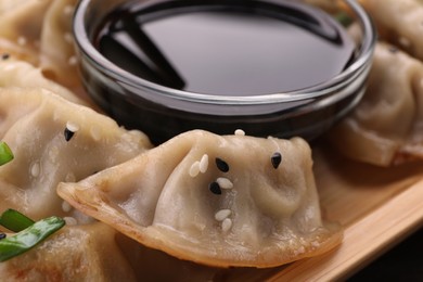 Photo of Delicious gyoza (asian dumplings) and soy sauce on plate, closeup