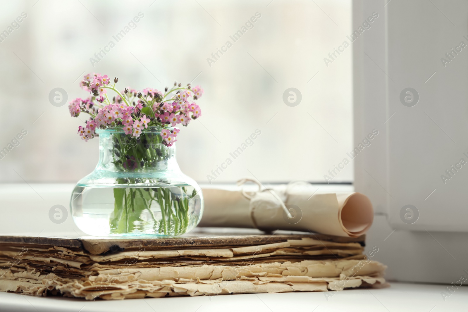 Photo of Beautiful Forget-me-not flowers and old book on window sill. Space for text