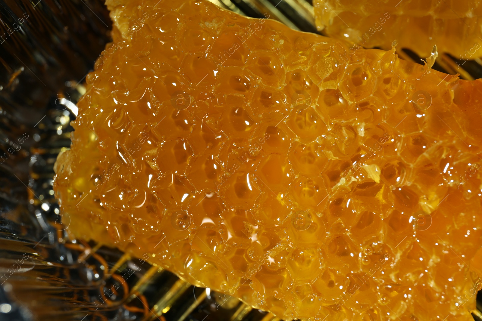 Photo of Natural honeycombs with tasty honey on blurred background, closeup