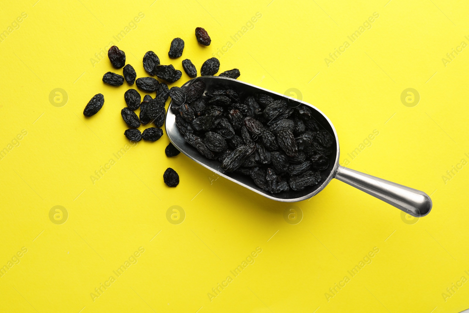 Photo of Scoop with raisins on color background, top view. Dried fruit as healthy snack