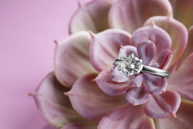 Photo of Beautiful luxury engagement ring with gemstone on succulent, closeup