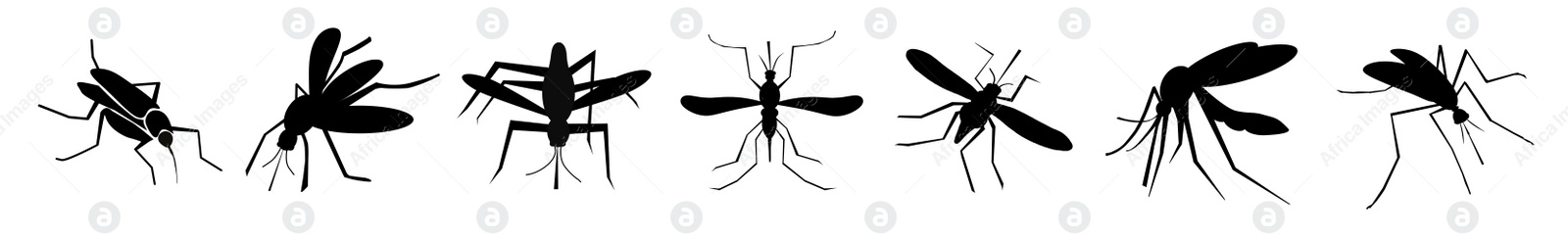 Image of Set of black mosquitoes on white background, banner design. Illustration