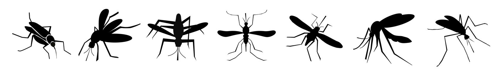 Set of black mosquitoes on white background, banner design. Illustration