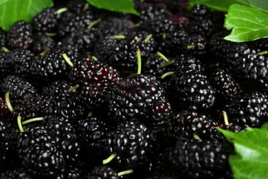 Photo of Fresh ripe black mulberries as background, closeup