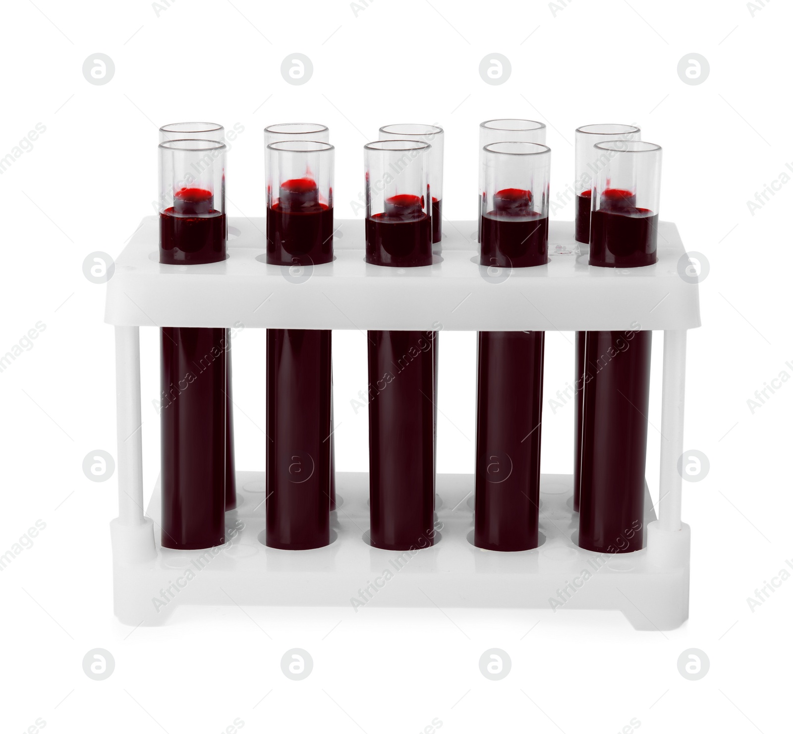 Image of Test tubes with blood samples in rack on white background. Laboratory analysis