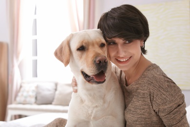 Adorable yellow labrador retriever with owner at home