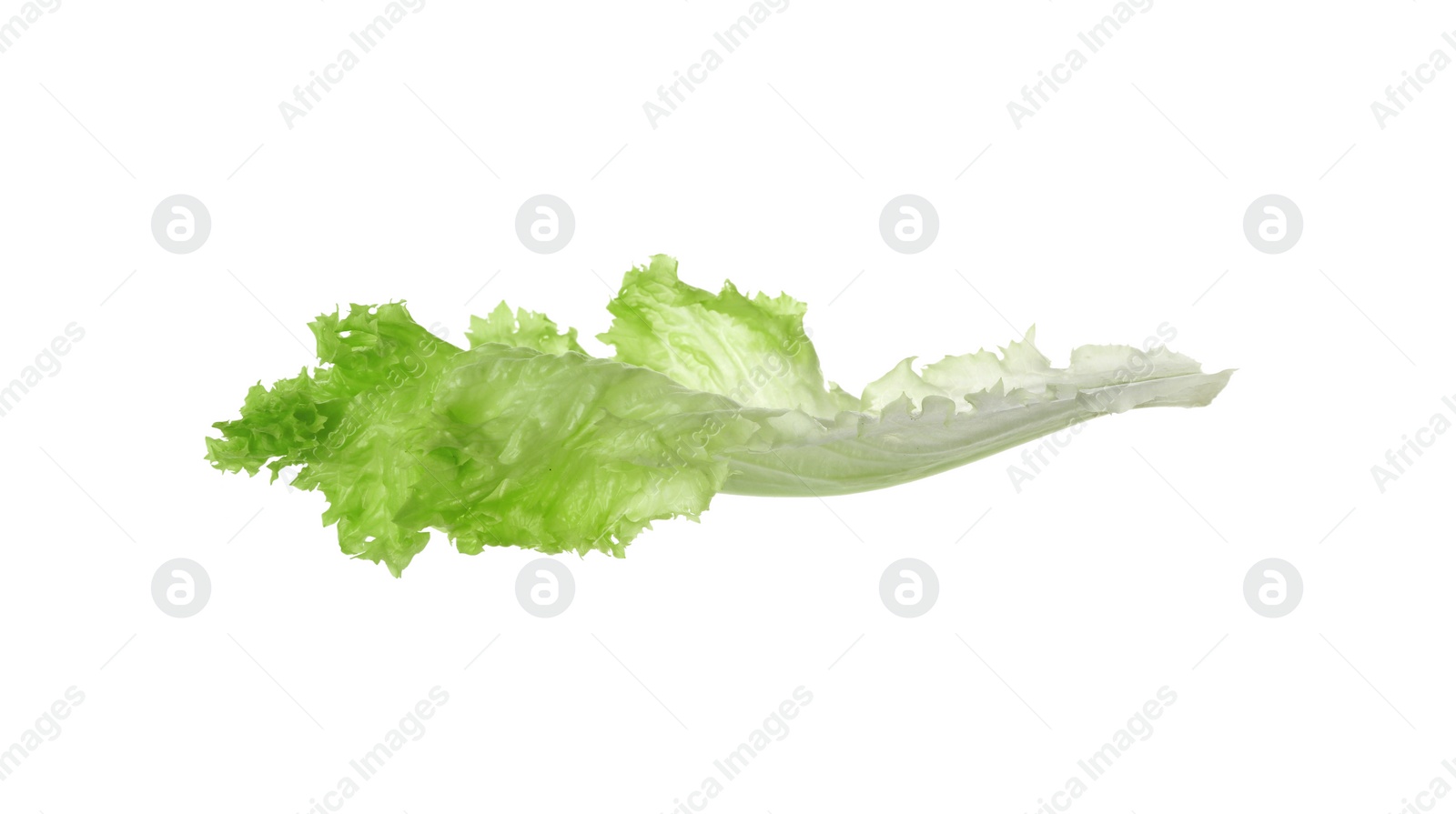 Photo of Fresh green lettuce leaf isolated on white