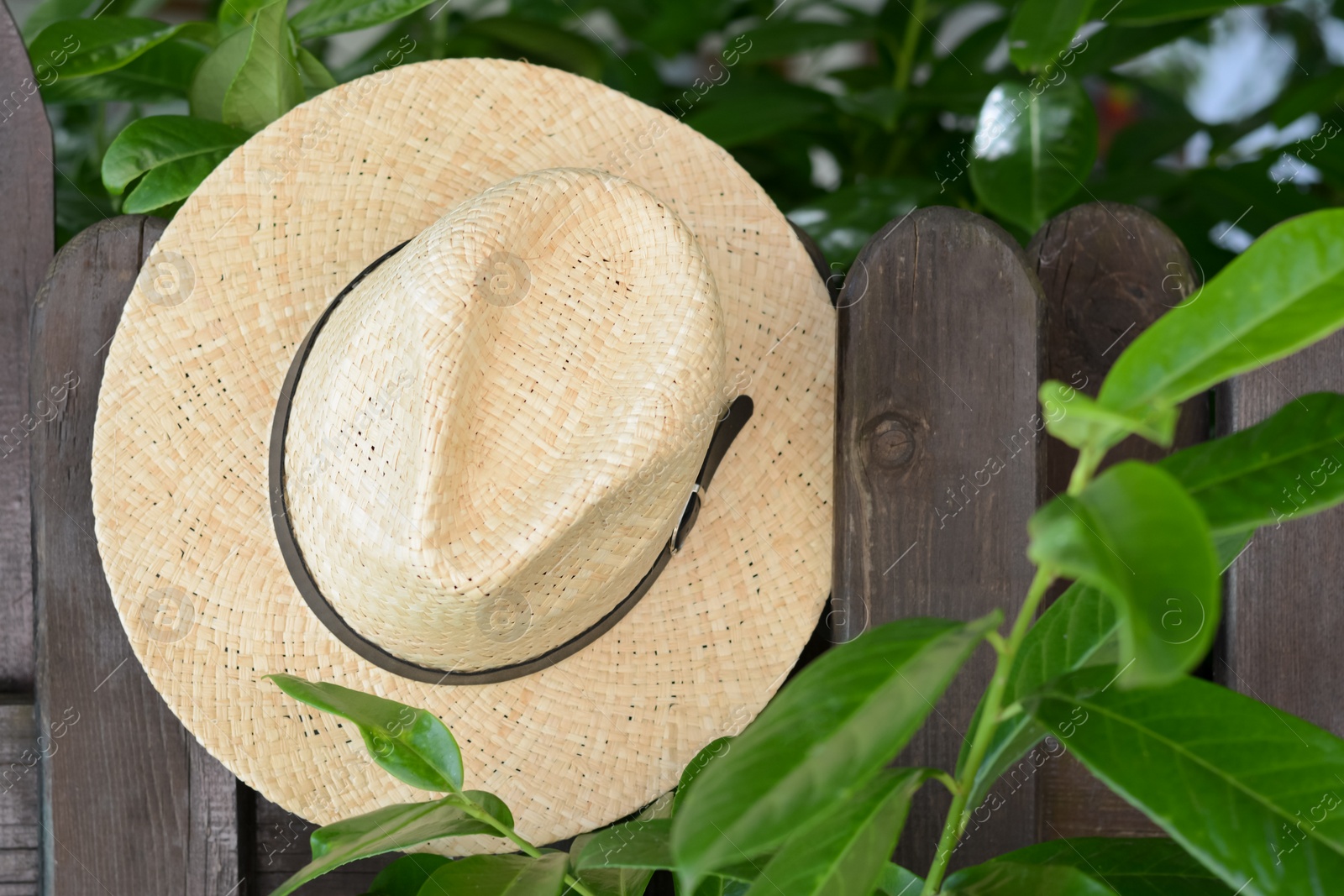 Photo of Stylish hat hanging on wooden fence. Beach accessory