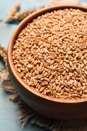 Bowl of wheat grains on light blue wooden table, closeup