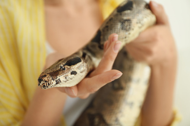Photo of Young woman with boa constrictor, closeup. Exotic pet