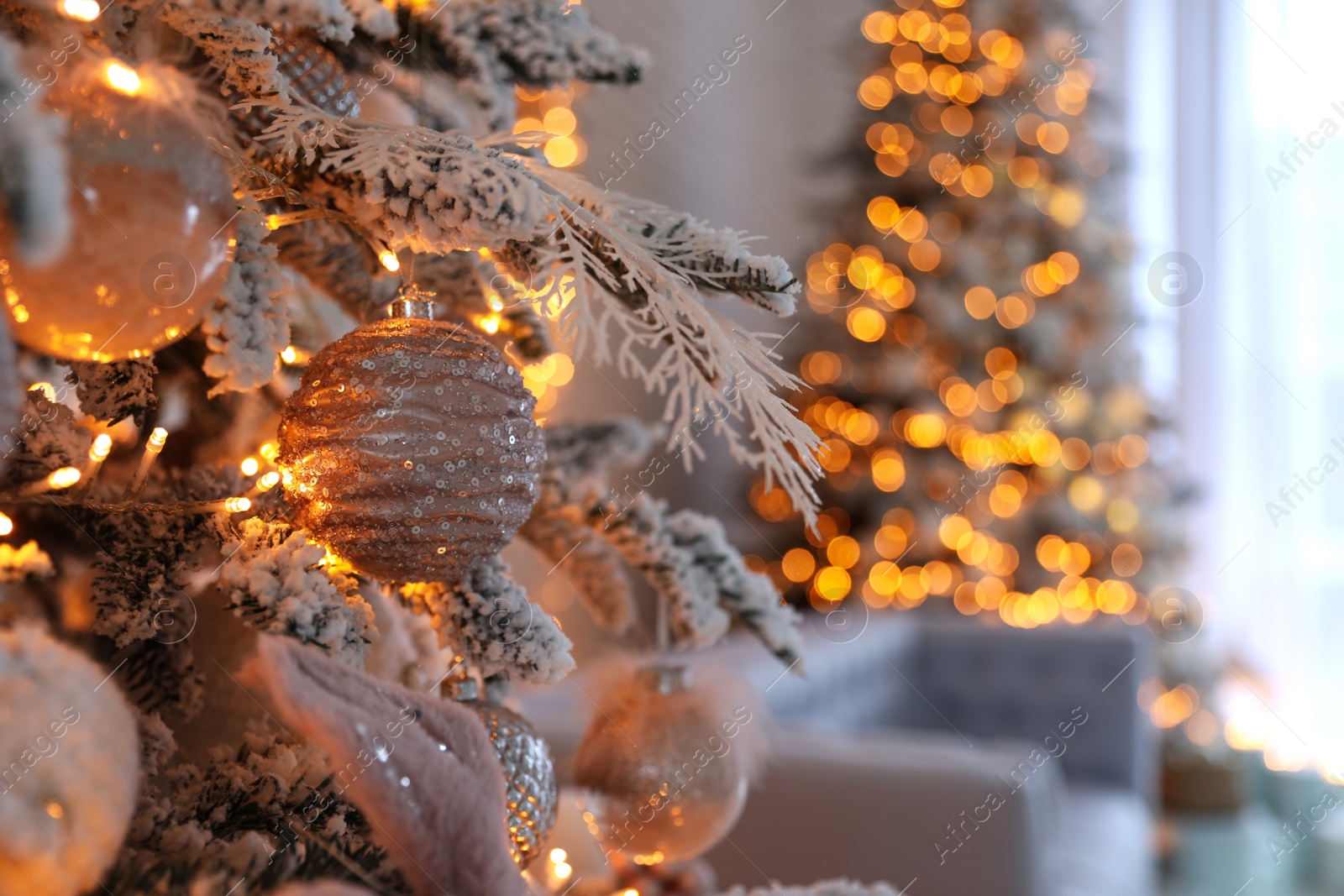 Photo of Christmas tree branch with balls indoors, closeup. Festive interior decoration