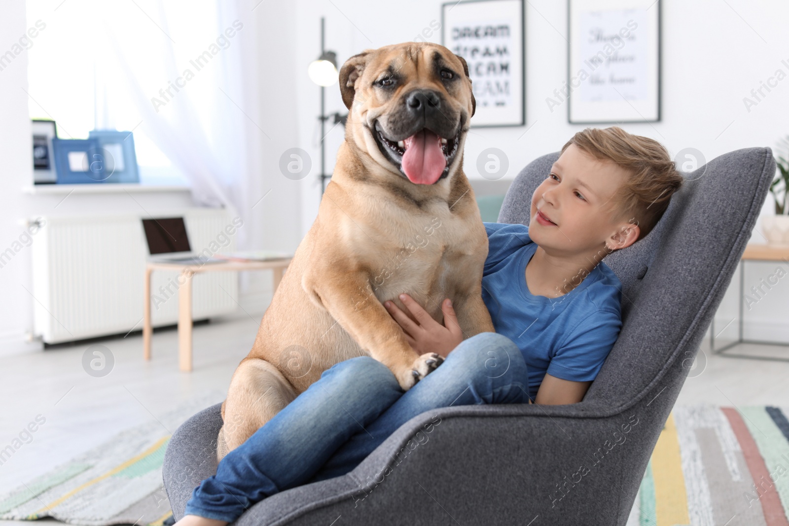 Photo of Cute little child with dog sitting in armchair at home