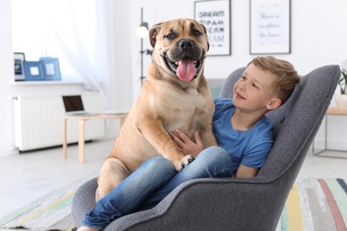 Photo of Cute little child with dog sitting in armchair at home