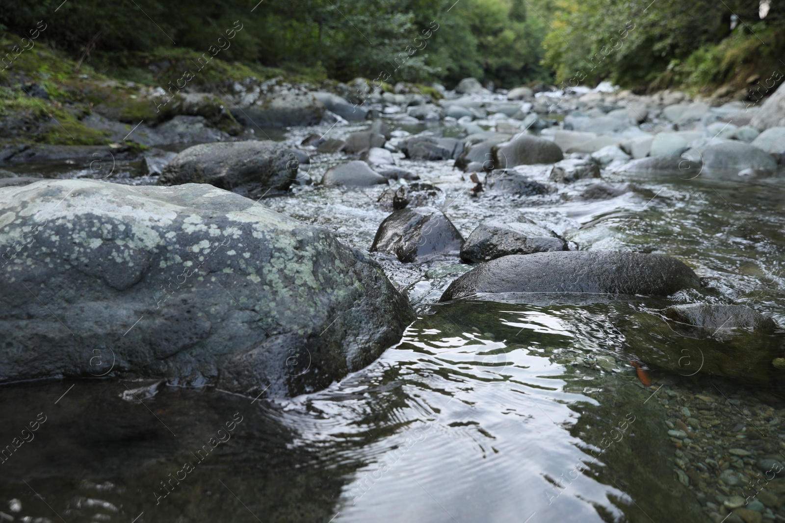 Photo of Beautiful view of small river and stones outdoors