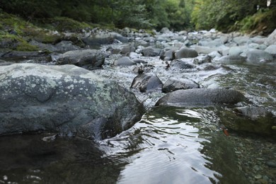Beautiful view of small river and stones outdoors