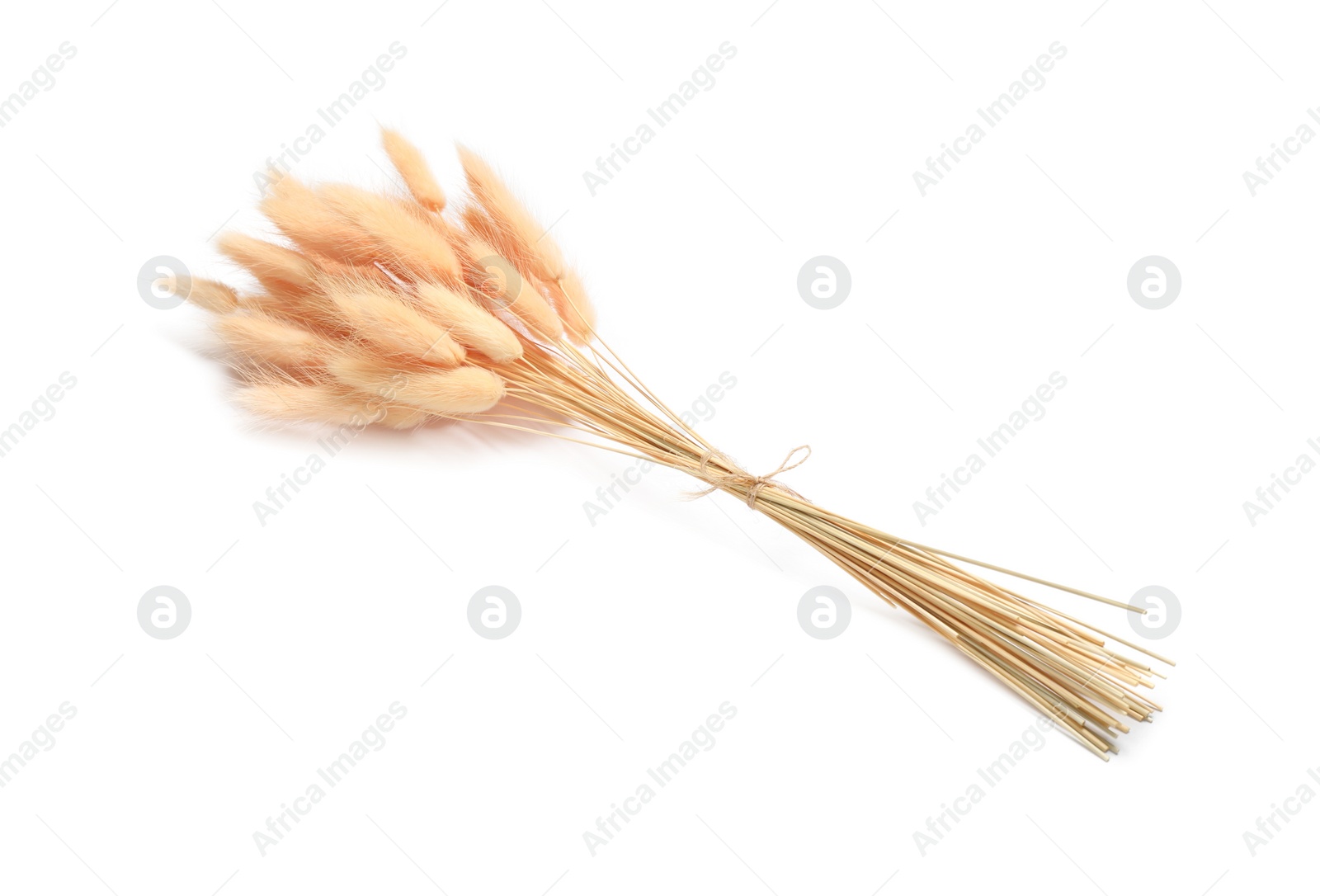 Photo of Bunch of beautiful dried flowers on white background