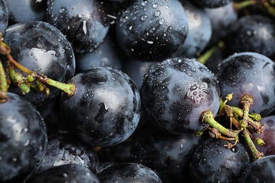 Photo of Fresh ripe juicy black grapes as background, closeup view