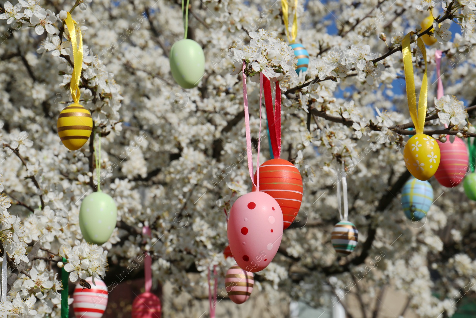 Photo of Beautifully painted Easter eggs hanging on blooming cherry tree outdoors