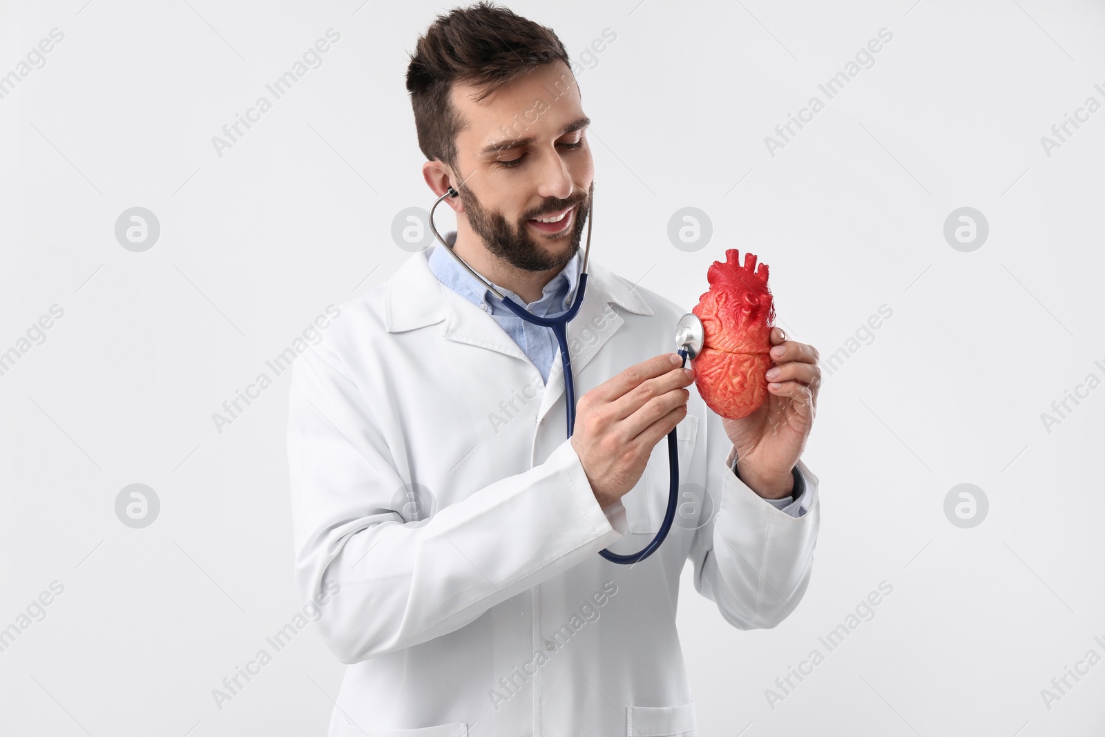 Photo of Doctor with stethoscope and model of heart on white background. Cardiology concept