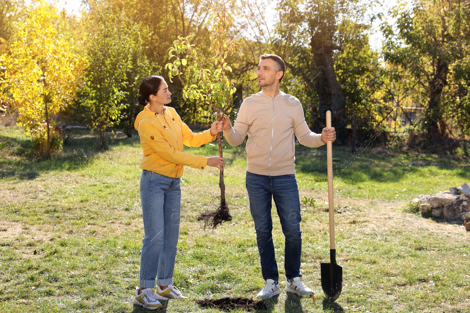 Photo of People with sapling and shovel in park on sunny day.  Planting tree