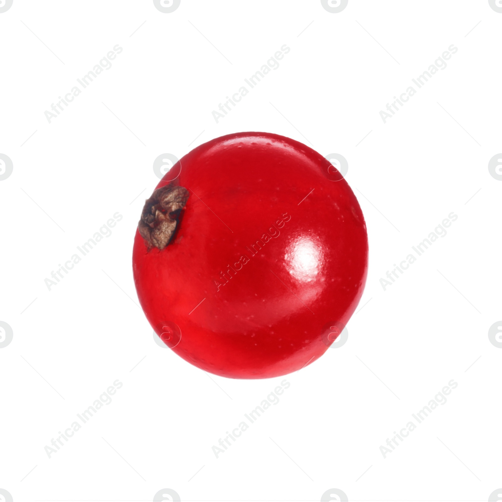 Photo of One ripe red currant isolated on white