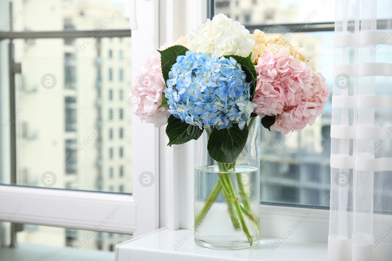 Photo of Beautiful hydrangea flowers in vase on windowsill indoors