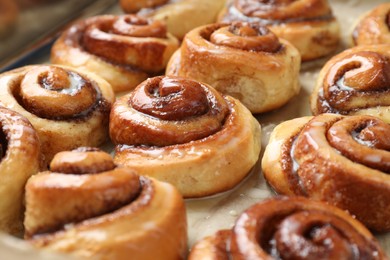 Photo of Tasty cinnamon rolls with cream on parchment paper, closeup