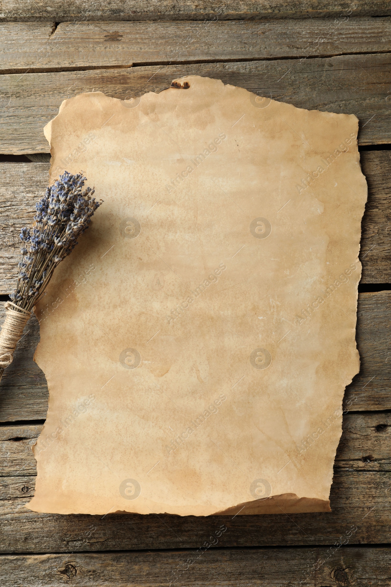 Photo of Sheet of old parchment paper and lavender flowers on wooden table, top view