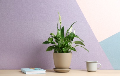 Potted peace lily plant, cup and notebook on wooden table near color wall