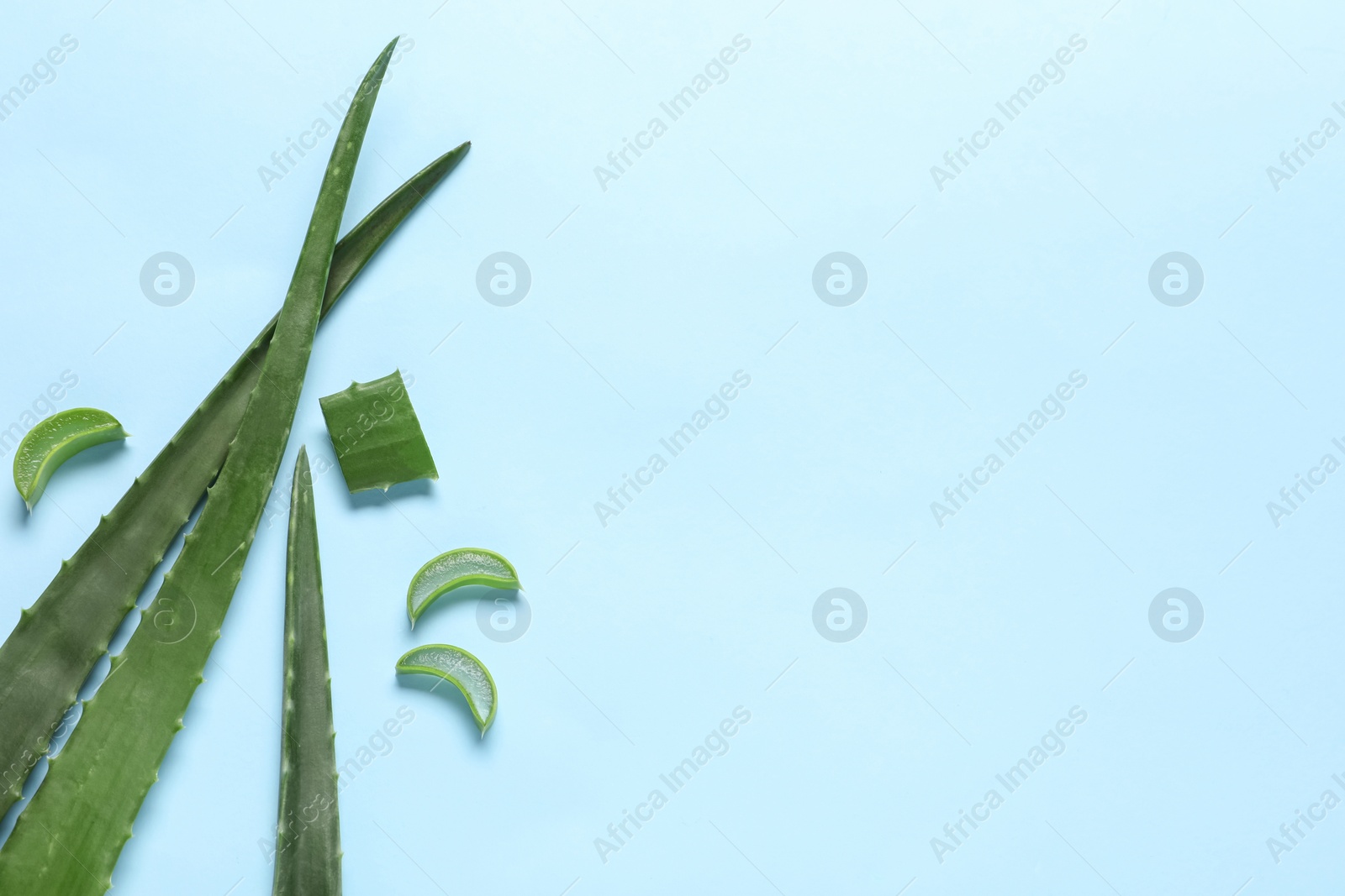 Photo of Cut aloe vera leaves on light blue background, flat lay. Space for text