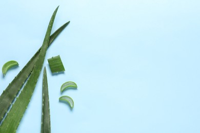 Photo of Cut aloe vera leaves on light blue background, flat lay. Space for text