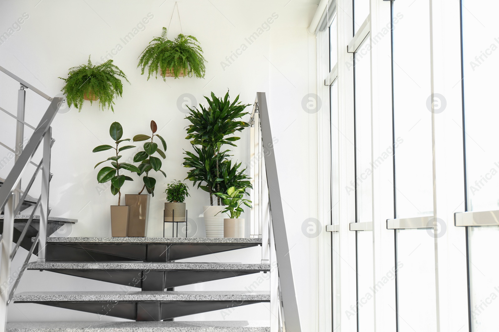 Photo of Different plants on stairs indoors. Home design idea