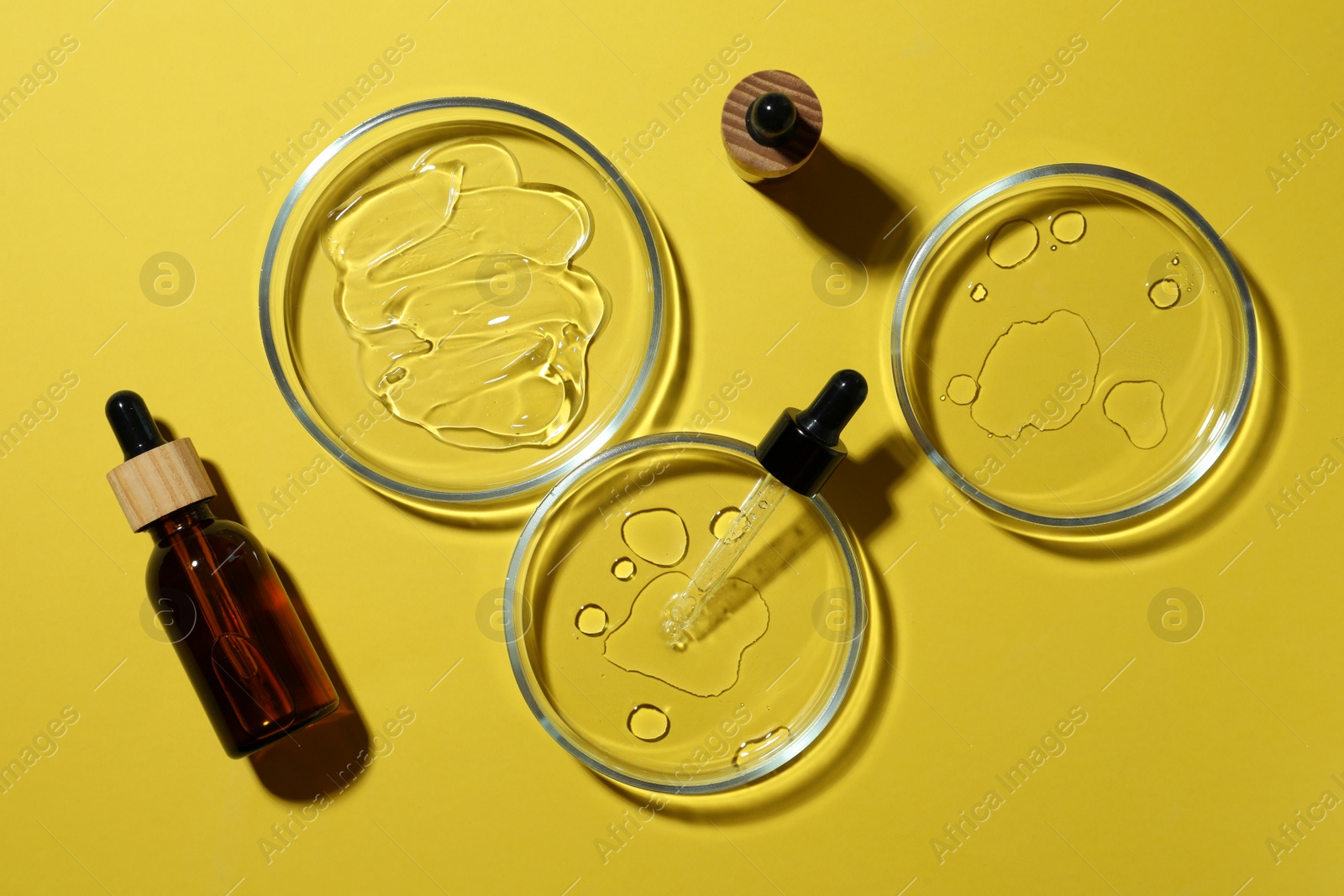 Photo of Flat lay composition with Petri dishes on yellow background