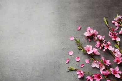 Photo of Beautiful sakura tree blossoms on grey background, flat lay. Space for text