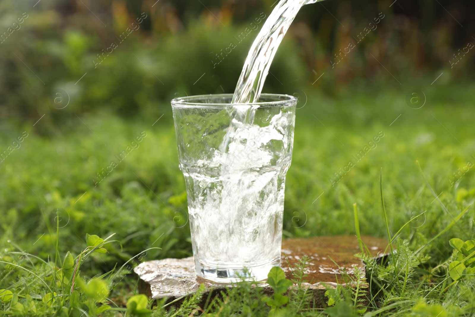 Photo of Pouring fresh water into glass on stone in green grass outdoors